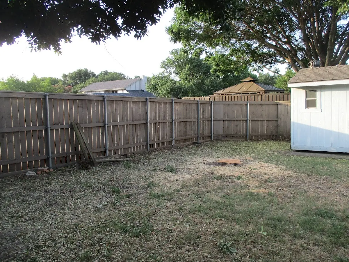 Cleared yard after professional tree removal in Raymond